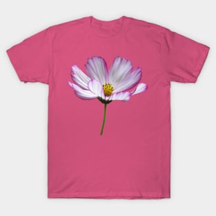 pink flower, bloom, flowers, petals, garden, nature T-Shirt